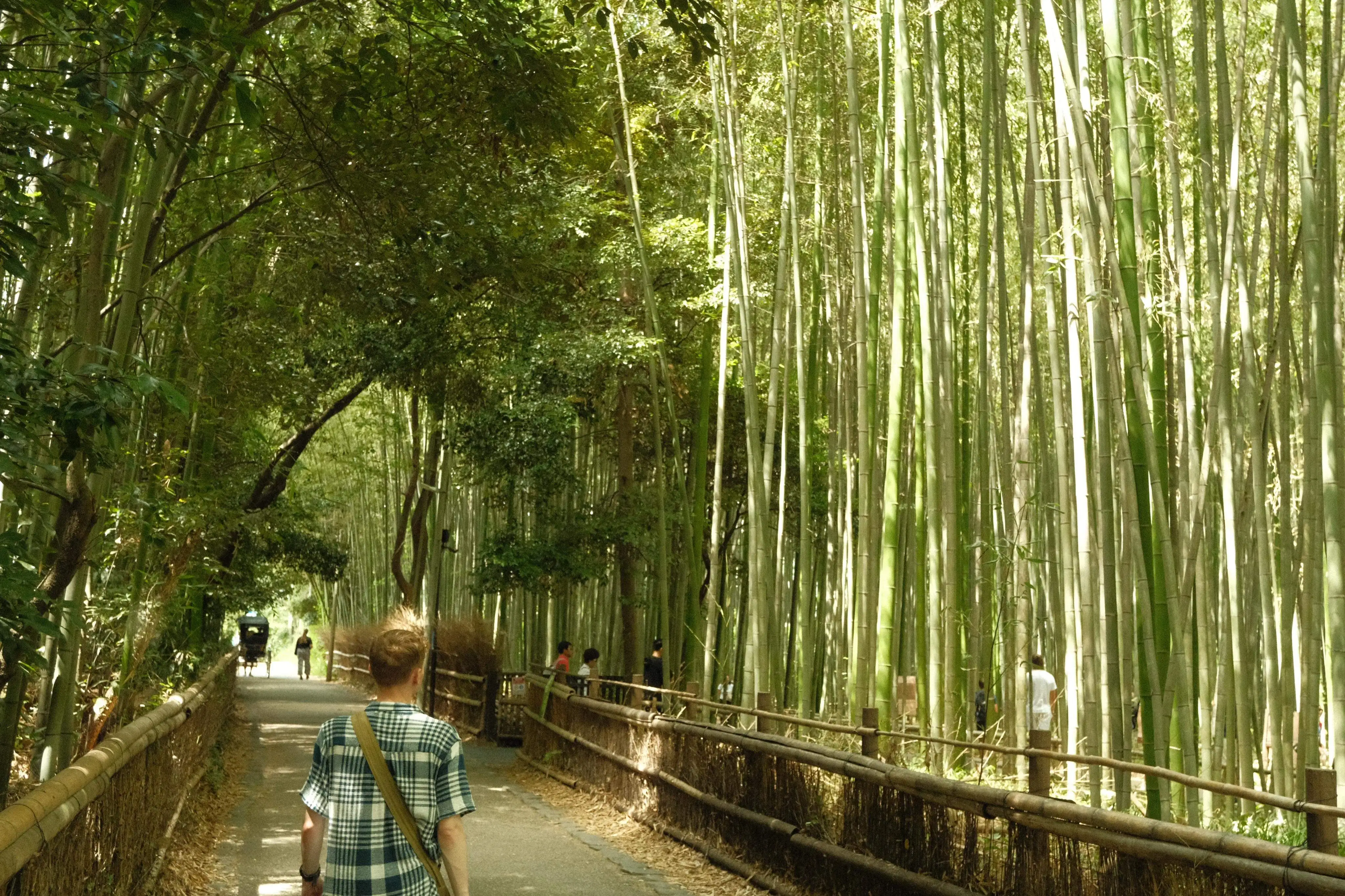 japan-2