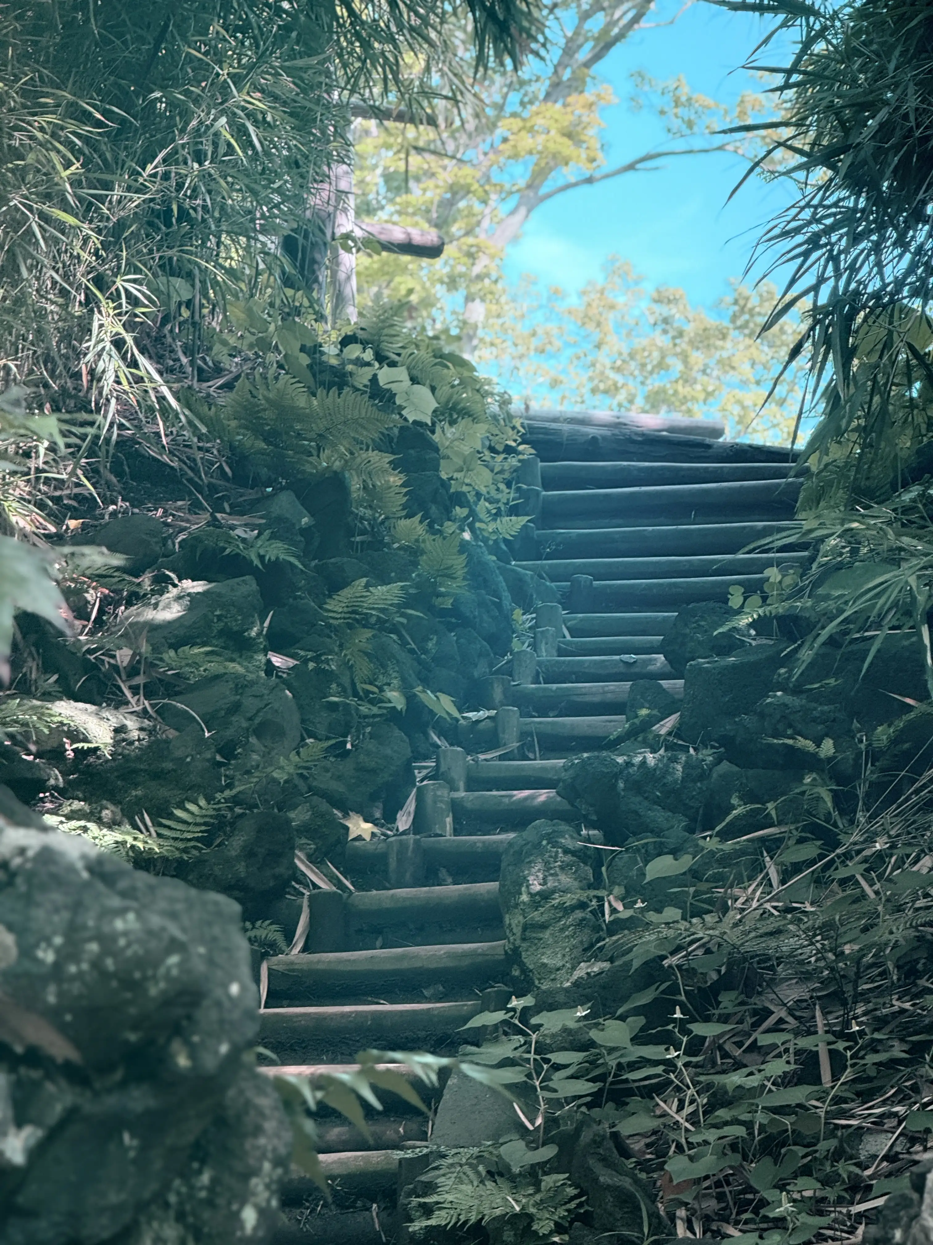 japan-1