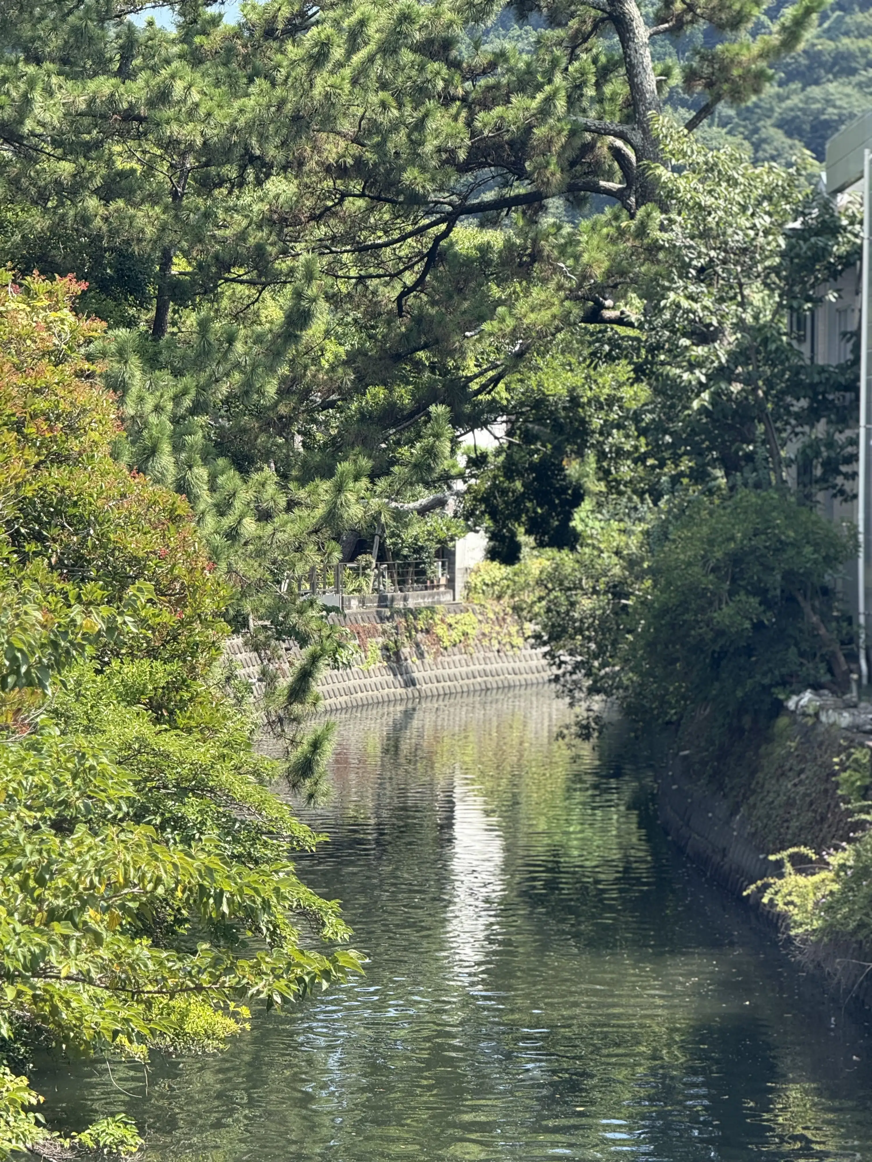 japan-4